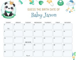 Cute Baby Boy Panda Baby Due Date Calendar