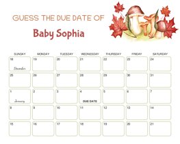 Watercolor Mushrooms Baby Due Date Calendar
