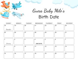 Cute Plane and Helicopter Baby Due Date Calendar