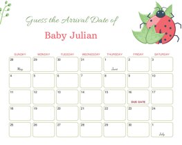 Cute Ladybug Baby Due Date Calendar