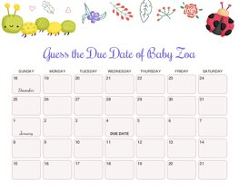 Caterpillar and Ladybug Baby Due Date Calendar