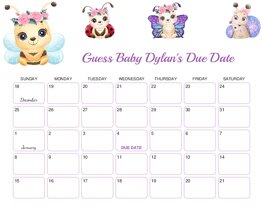 Cute Little Insects Baby Due Date Calendar