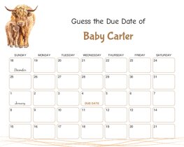 Highland Cow Baby Due Date Calendar