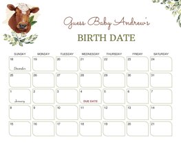 Cow Face Baby Due Date Calendar