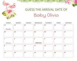 Pink Flamingos Baby Due Date Calendar