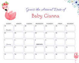 Cute Watercolor Flamingo Baby Due Date Calendar
