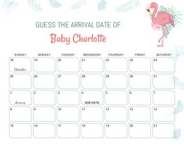Exotic Flamingo Baby Due Date Calendar