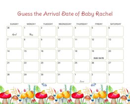 Colorful Mushrooms Baby Due Date Calendar