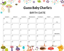 Cute Mushrooms Baby Due Date Calendar