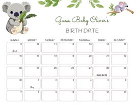 Cute Baby Koala Baby Due Date Calendar