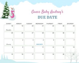 Winter Landscape Baby Due Date Calendar