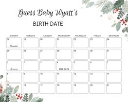 Watercolor Christmas Elements Baby Due Date Calendar