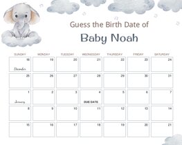 Watercolor Baby Elephant Baby Due Date Calendar