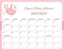 Cute Little Pink Bunny Baby Due Date Calendar