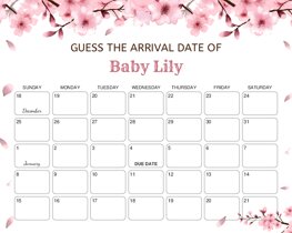 Watercolor Cherry Blossom Baby Due Date Calendar