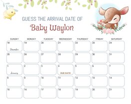 Cute Floral Deer Baby Due Date Calendar