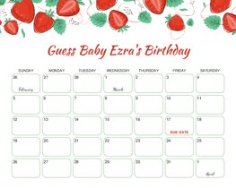 Strawberry and Leaves Baby Due Date Calendar