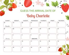 Strawberry Floral Baby Due Date Calendar