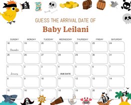 Pirate Elements Baby Due Date Calendar